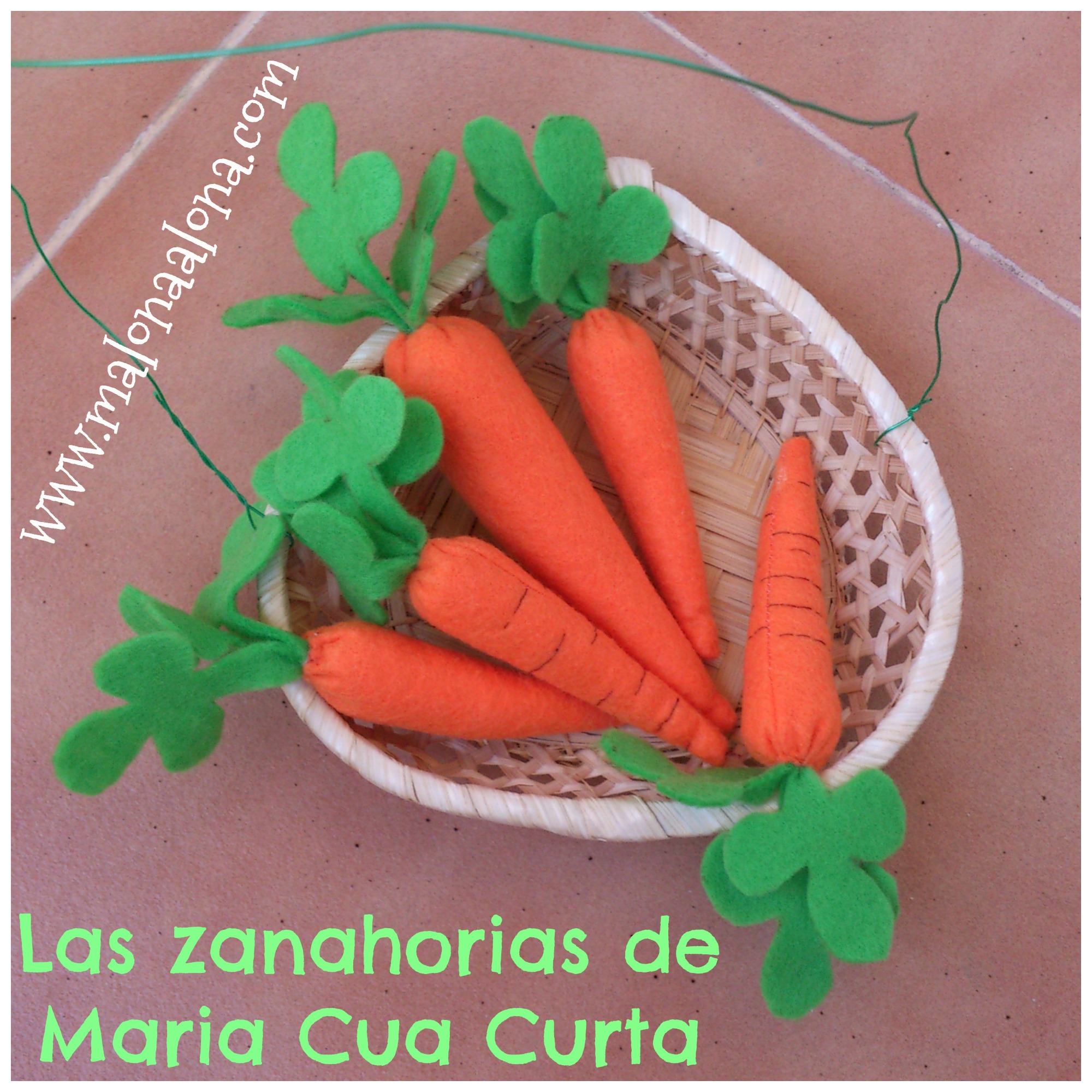 zanahorias_maria_cua_curta